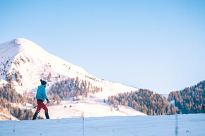 Ponte Conseria - Passo Cinque Croci | © APT Valsugana e Lagorai