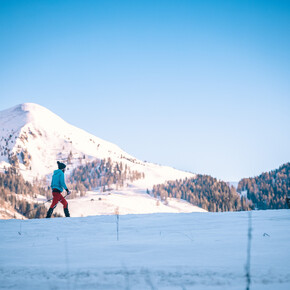 Ponte Conseria - Passo Cinque Croci | © APT Valsugana e Lagorai