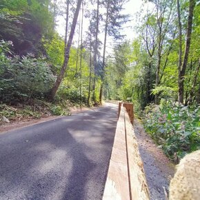 Passeggiata da Baselga a Montagnaga, lungo la ciclabile | © APT Trento 