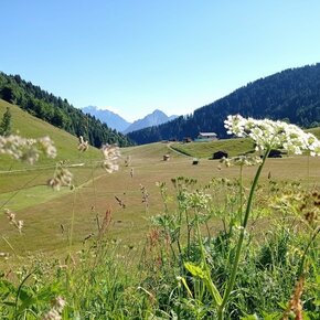 The Pian Grant della Vederna | © APT San Martino di Castrozza, Primiero e Vanoi