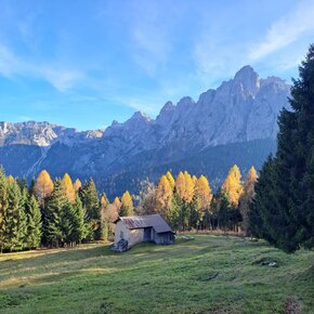 CRODA GRANDA - AGNER WILD TREK - ETAPPE 1 - Sagron Mis (Chalet Giasenei) - Malga Cavallera (Variante Domadore) | © APT San Martino di Castrozza, Primiero e Vanoi