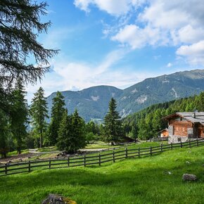 Musil en Bersntol - Palù del Fersina | © VisitTrentino TGP
