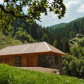 Rundwanderweg über die Bauernhöfe von Palù (Palai) | © VisitTrentino TGP