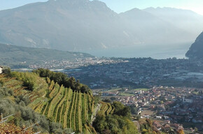 Die Weinberge von Tenno | © Garda Trentino 