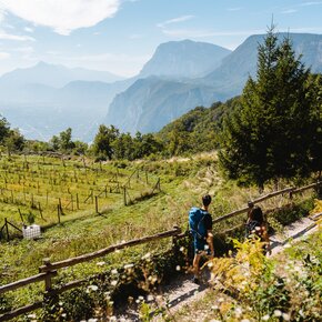 Monte di Mezzocorona | © Consorzio Turistico Rotaliana Königsberg
