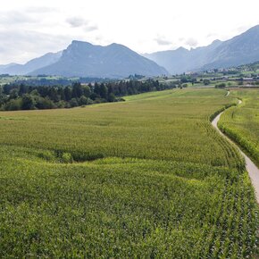 Sulle strade della fede | © North Lake Garda Trentino 