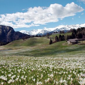Stabio hut | © Garda Trentino 