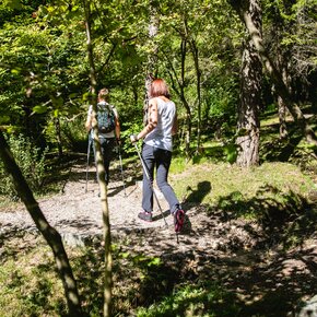 walking in the forest | © Garda Trentino 