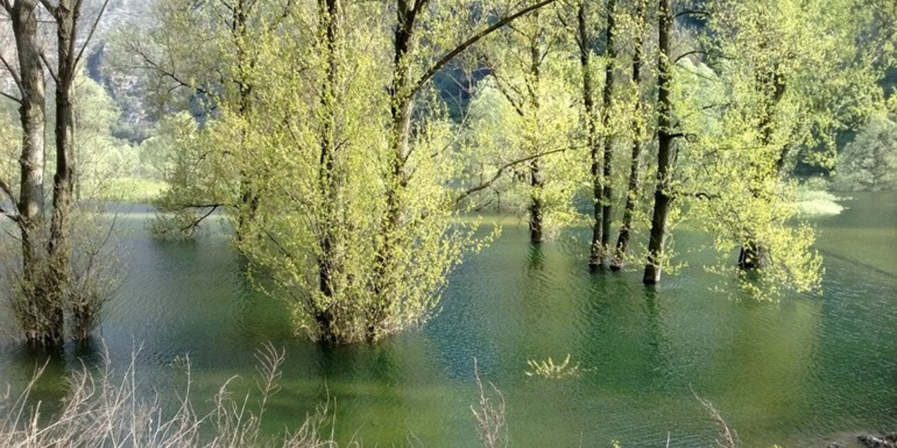 Isola di Sant’Andrea #1