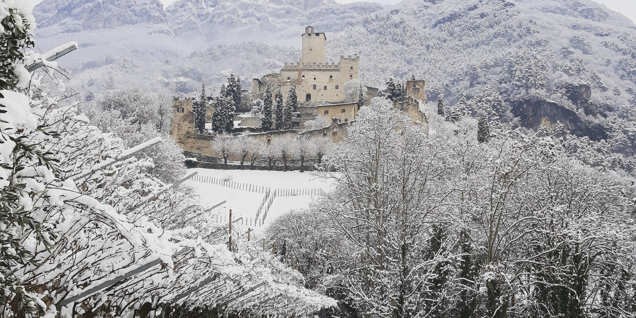 Avio Castle #4