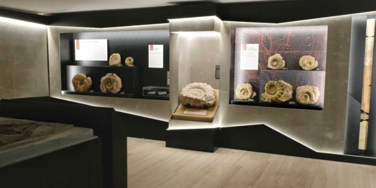 Science and Archaeology Museum #4