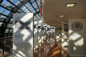 1914-1918 La Gran Vera - Der Große Krieg: Galizien, Dolomiten