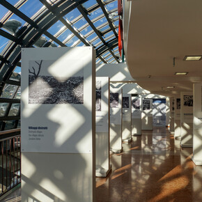 1914-1918 La Gran Vera - Der Große Krieg: Galizien, Dolomiten