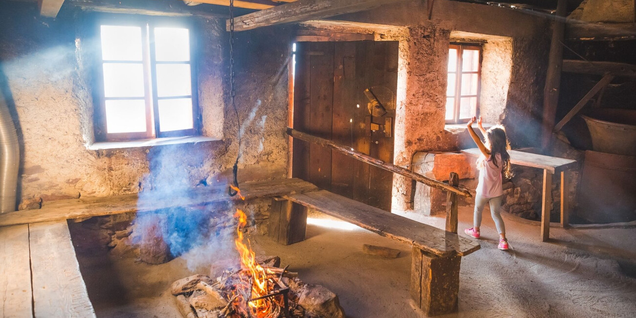 Museo NestAlp Malga Campo - Celentino di Peio #2