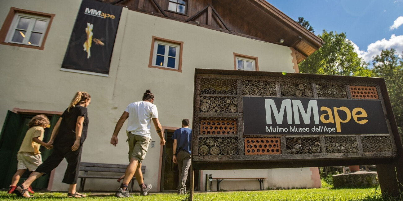 MMape Bee Museum #4