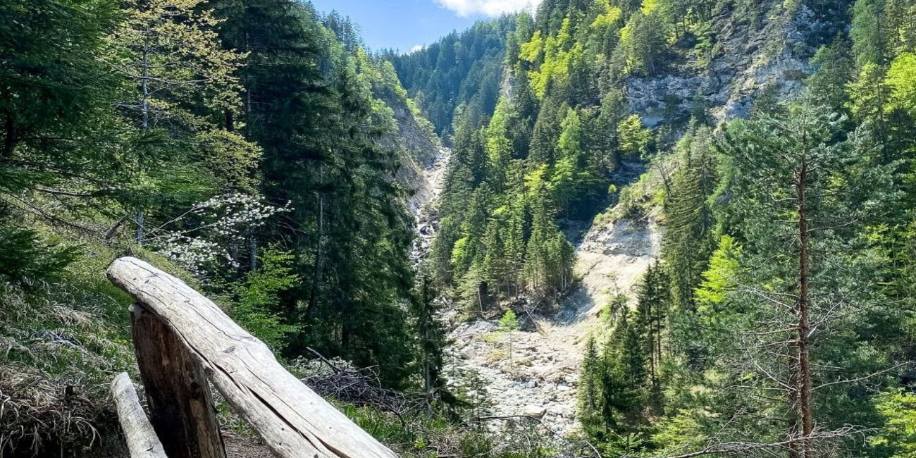 Ökomuseum Val Meledrio #2