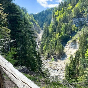 Val Meledrio Ecomuseum