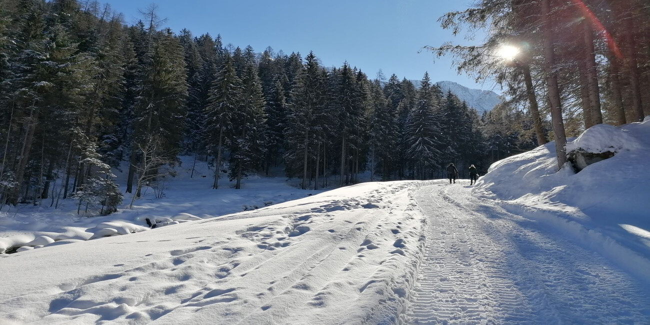 Ökomuseum Val Meledrio #1