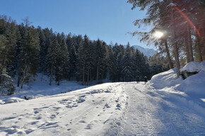 Ökomuseum Val Meledrio