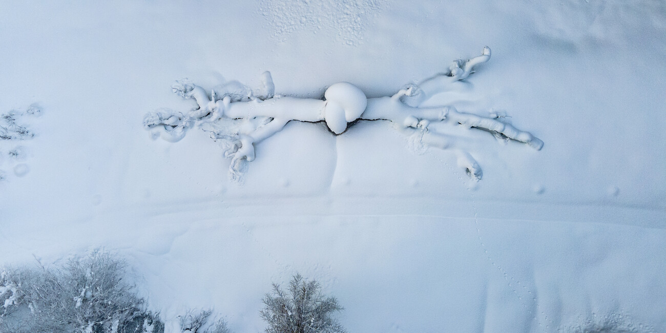 Arte Sella #11
