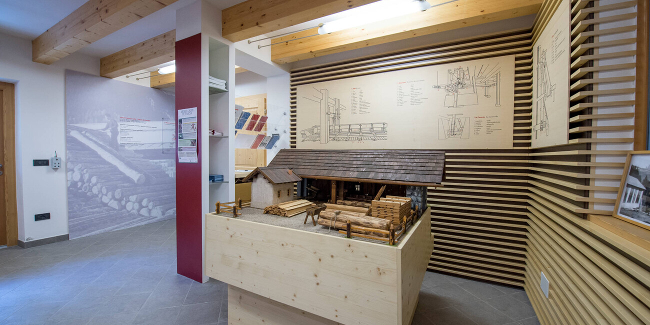 L Segat - The sylviculture #5