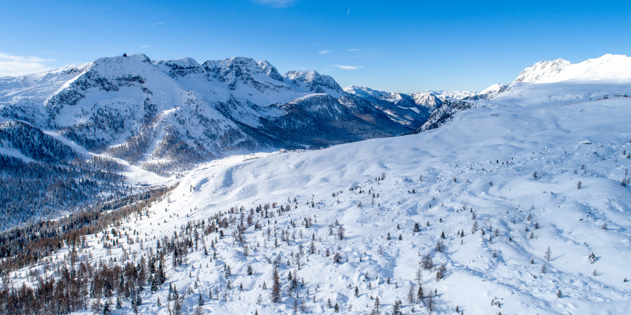 Punto panoramico Col Margherita - Passo San Pellegrino #8