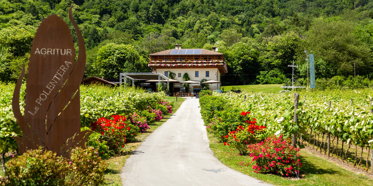 Agritur la Polentera #1