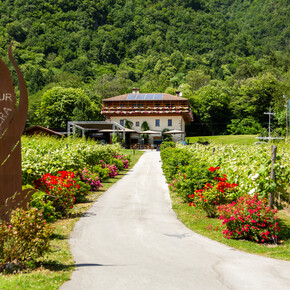 Agritur la Polentera