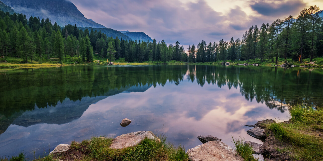 Punto panoramico Col Margherita - Passo San Pellegrino #3