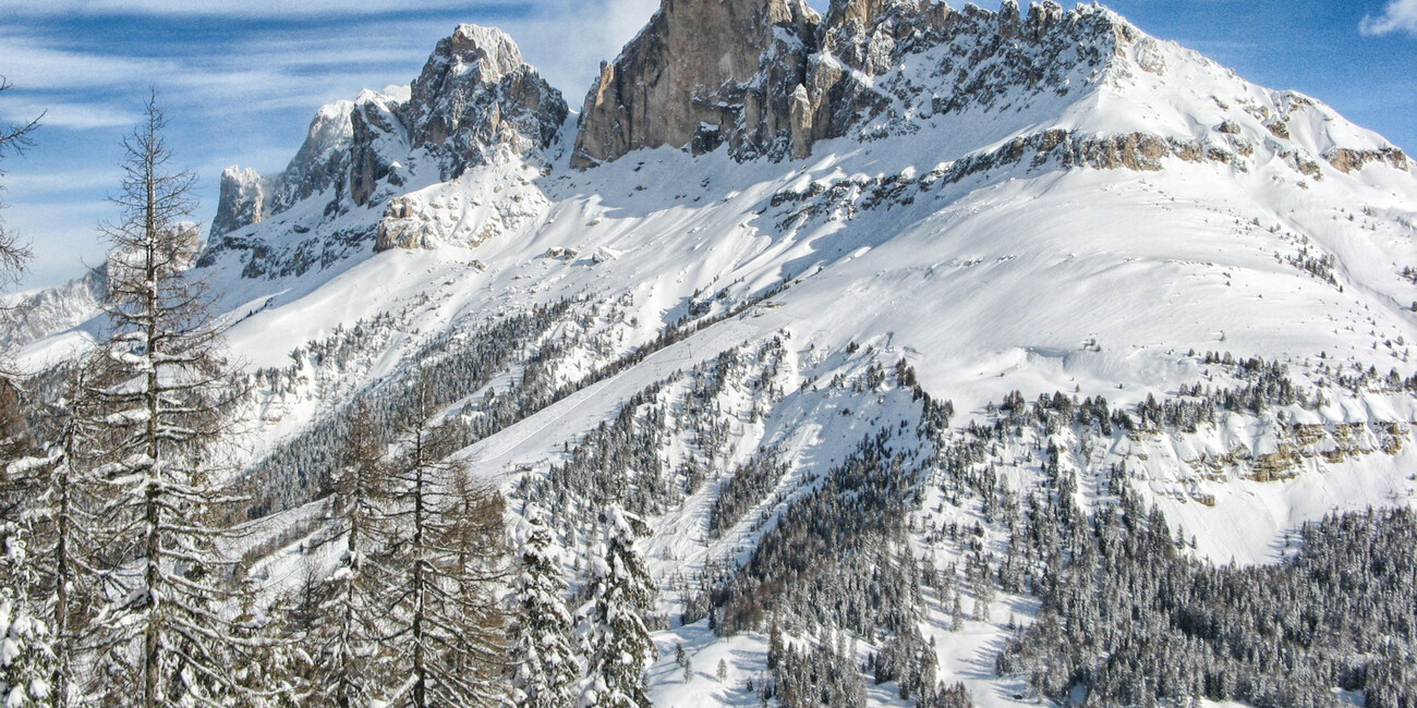 Punto panoramico Passo Costalunga - Paolina #1