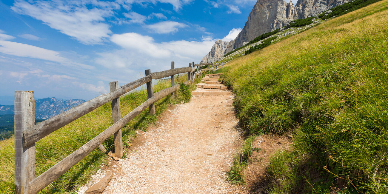 Punto panoramico Passo Costalunga - Paolina #5