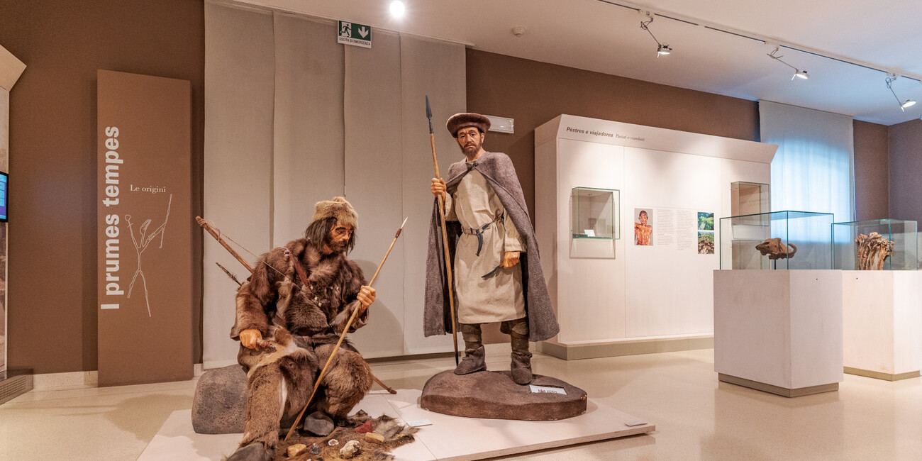 Ladin Museum Fassa #5