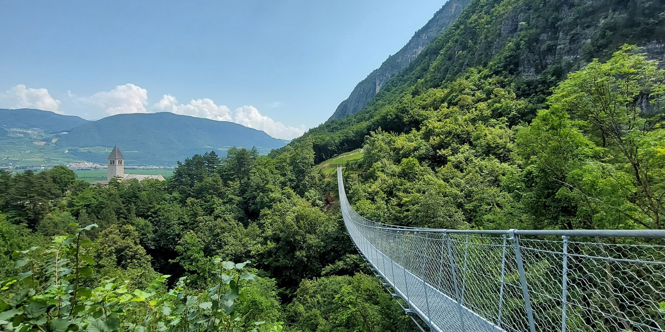 Ponte sospeso Mezzolombardo #5