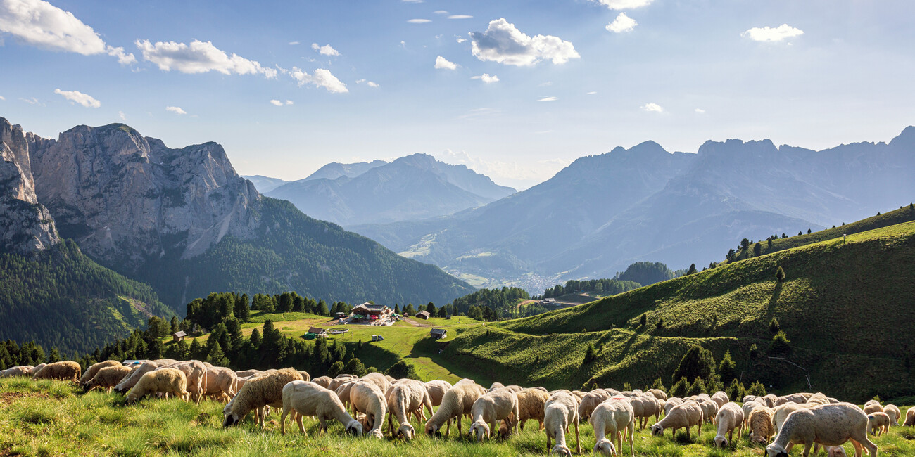 Punto panoramico Col de Valvacin - Buffaure #3
