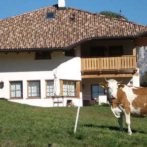 Agritur Maso Corradini