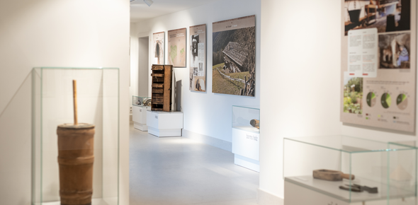 Istituto Culturale Mòcheno | Bersntoler Kulturinstitut