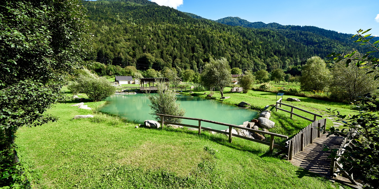 Casa Parco Acqua Life #1