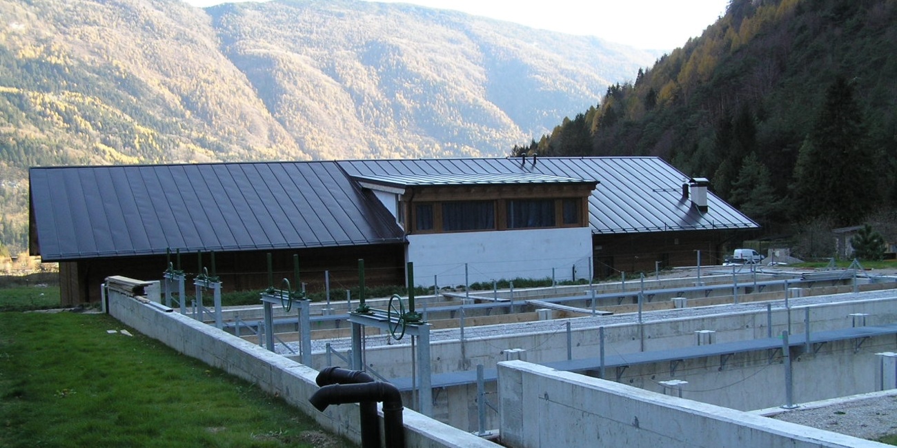 Centro Ittiogenico #1