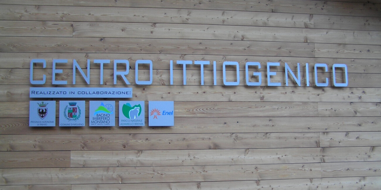 Centro Ittiogenico #2