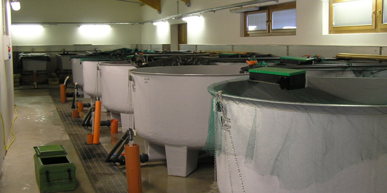 Centro Ittiogenico #3