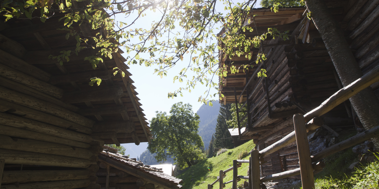 Ecomuseo del Vanoi #1