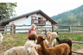 Brigolina Alpine Hut