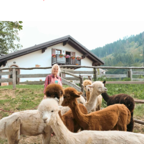 Brigolina Alpine Hut