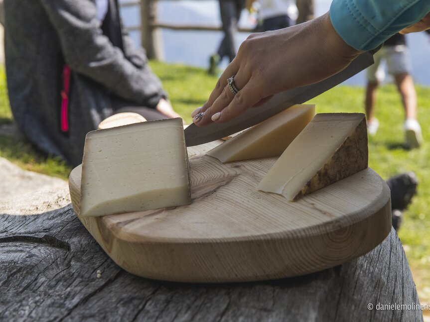 Formaggio malga Cengledino