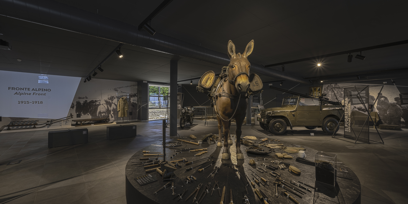 National Historical Museum of the Alpini - Doss Trento #1
