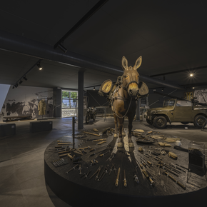 National Historical Museum of the Alpini - Doss Trento