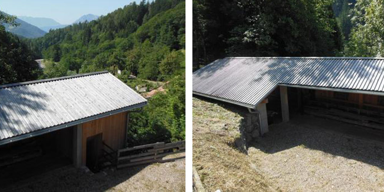 Segheria Sant'Orsola #1