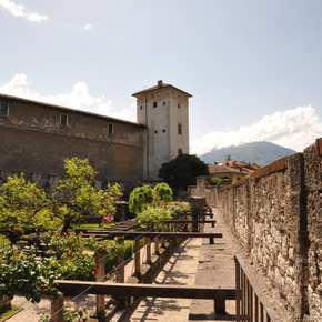 Torre Aquila