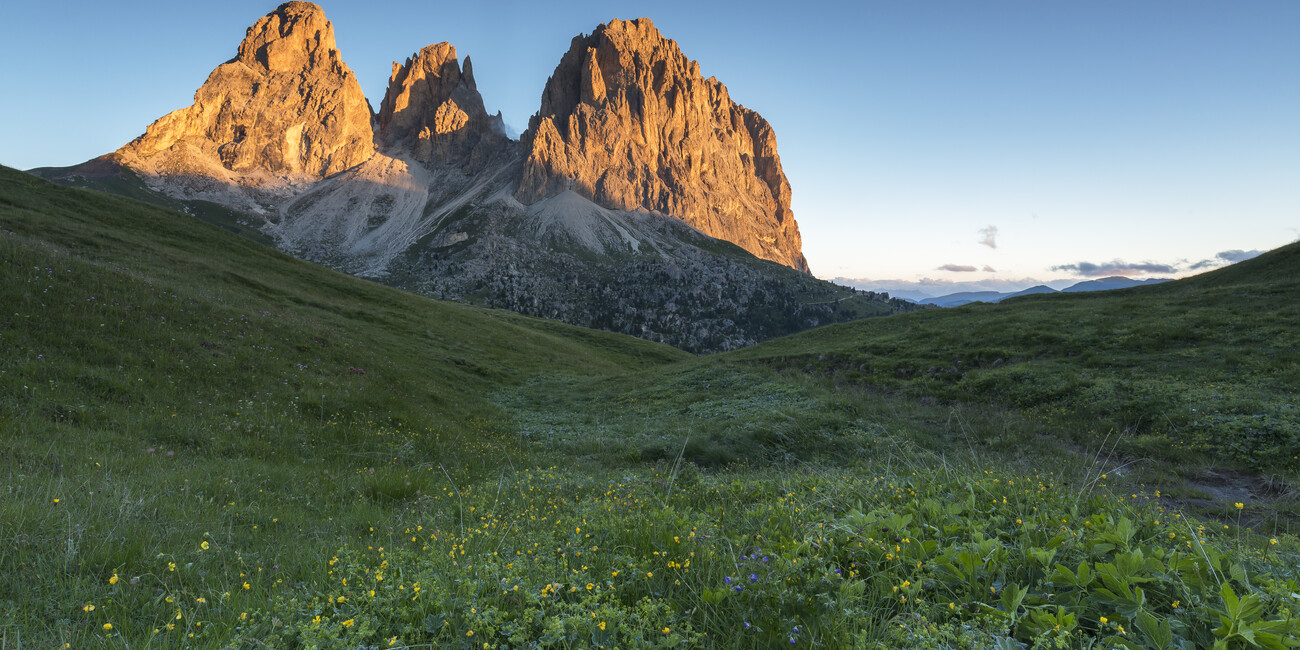 © Alessandro Gruzza 