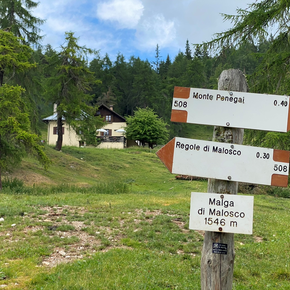Val di Non - Malga di Malosco